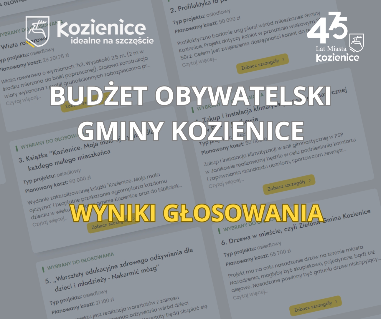 Budżet Obywatelski Gminy Kozienice - przejście do strony z&nbsp;wynikami