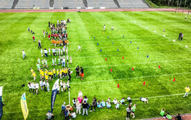 dji-8