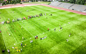 dji-7