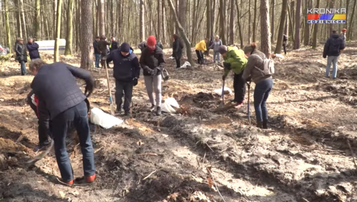 Zdjęcie do Akcja sadzenia lasu w Kozienicach