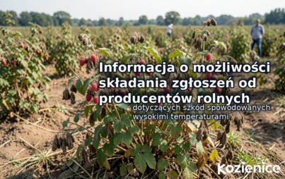 Zdjęcie do Informacja o możliwości składania zgłoszeń od producent&oacute;w rolnych, u kt&oacute;rych wystąpiły szkody spowodowane wysokimi temperaturami