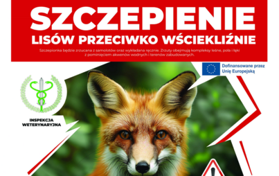 Zdjęcie do Akcja szczepienia lis&oacute;w wolno żyjących przeciwko wściekliźnie na terenie wojew&oacute;dztwa mazowieckiego