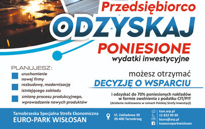 Zdjęcie do Polska Strefa Inwestycji